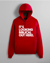 Load image into Gallery viewer, It’s Looking Biblical Out Here Hoodie
